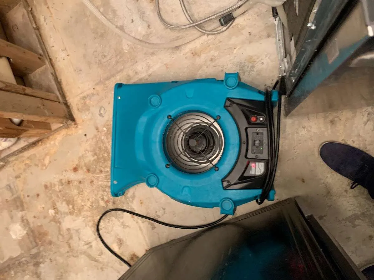 Air mover drying equipment for Mold Remediation & Removal in Texarkana